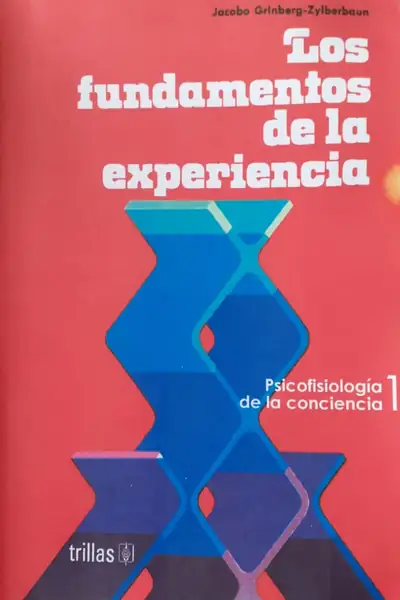 Portada del libro: 27 Los Fundamentos De La Experiencia
