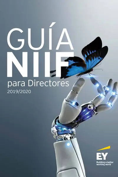 Portada del libro: GuíA Niif Para Directores 2020