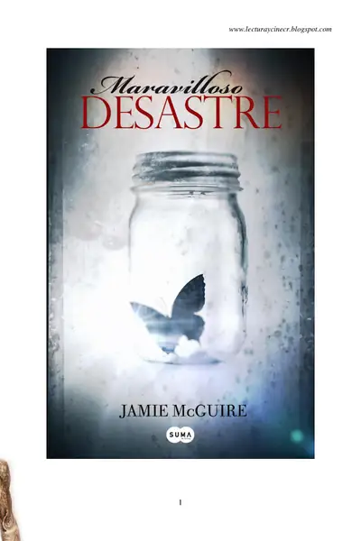 Portada del libro: Maravilloso Desastre