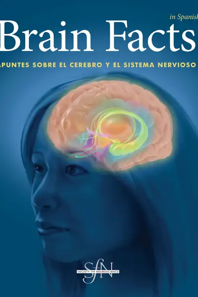Portada del libro: Brain Facts Apuntes Sobre El Cerebro Y El Sistema Nervioso