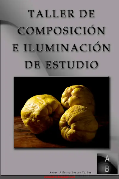 Portada del libro: Taller De Composicion E Iluminacion De Estudio Alfonso Bustos