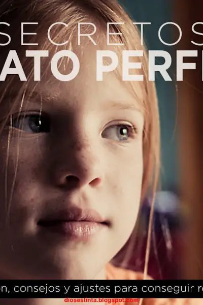 Portada del libro: Los Secretos Del Retrato Perfecto