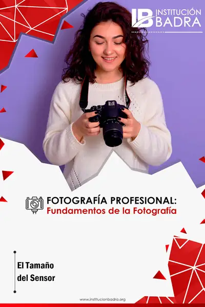 Portada del libro: El TamañO Del Sensorleido