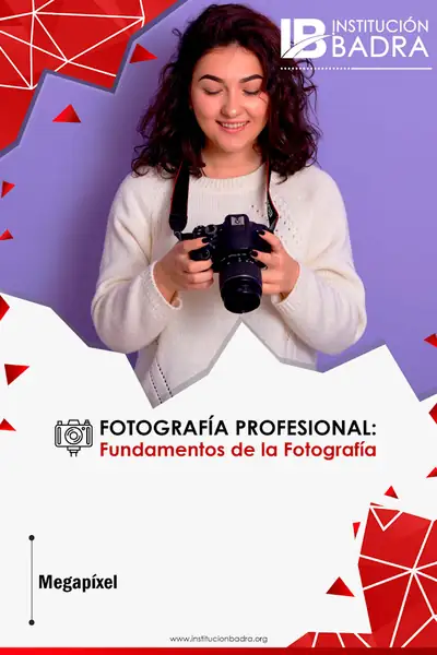 Portada del libro: MegapíXelleido