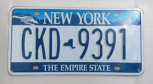 Vue 2 de Plaque Americaine New York