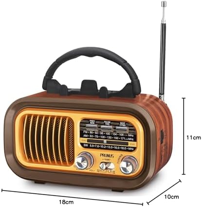 Vue 7 de Poste Radio Vintage Prunus