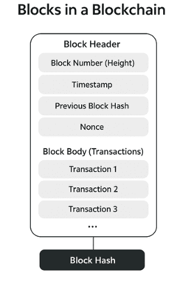 Block Structure