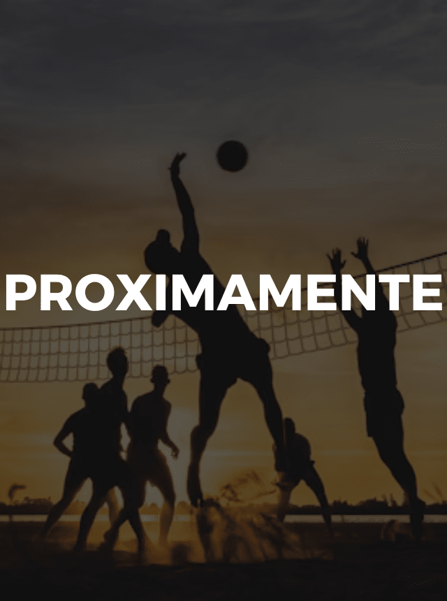 VOLEIBOL