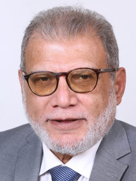 عادل محمد فوزي أحمد