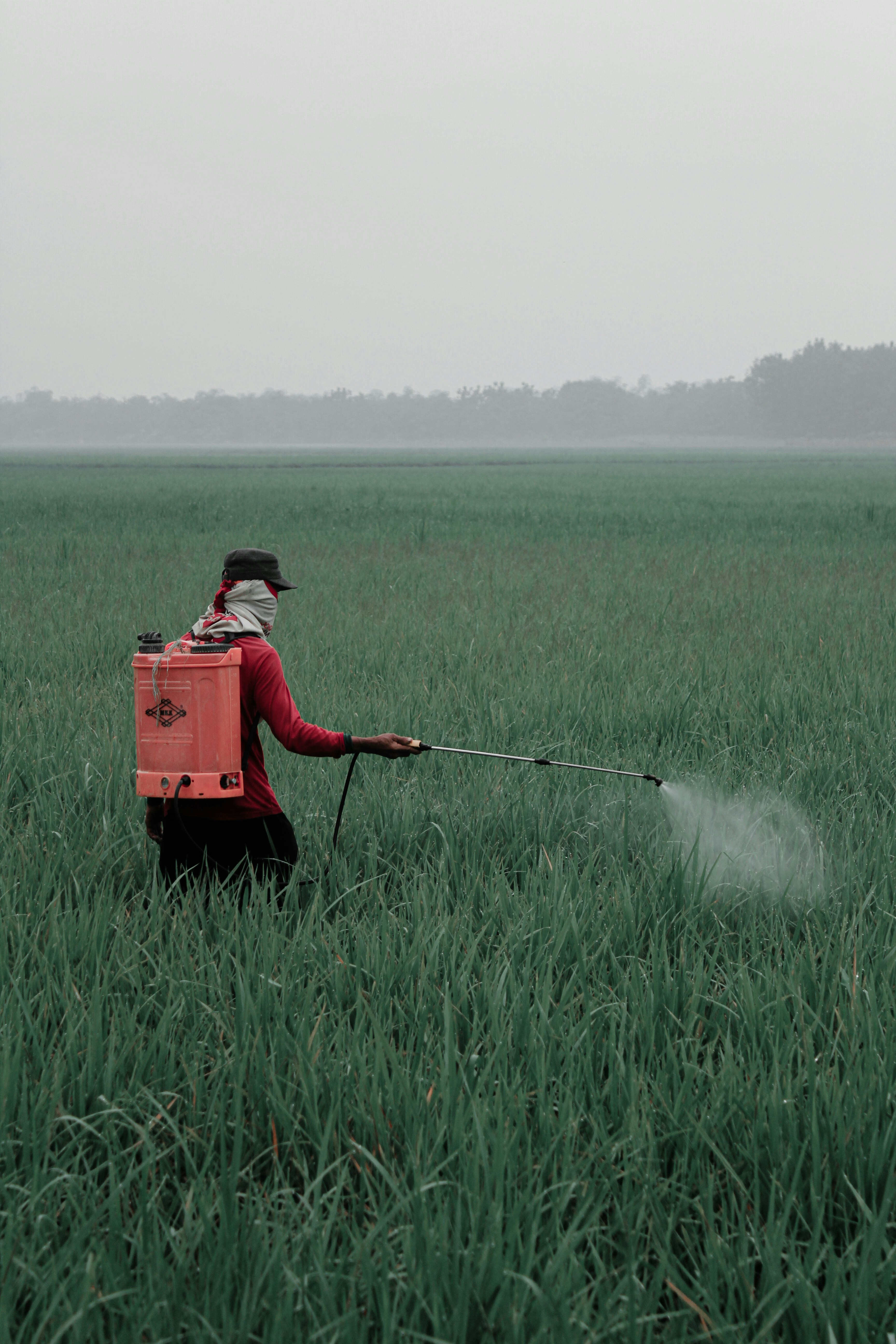 Pest and Disease Control — کیڑے اور بیماری کا کنٹرول