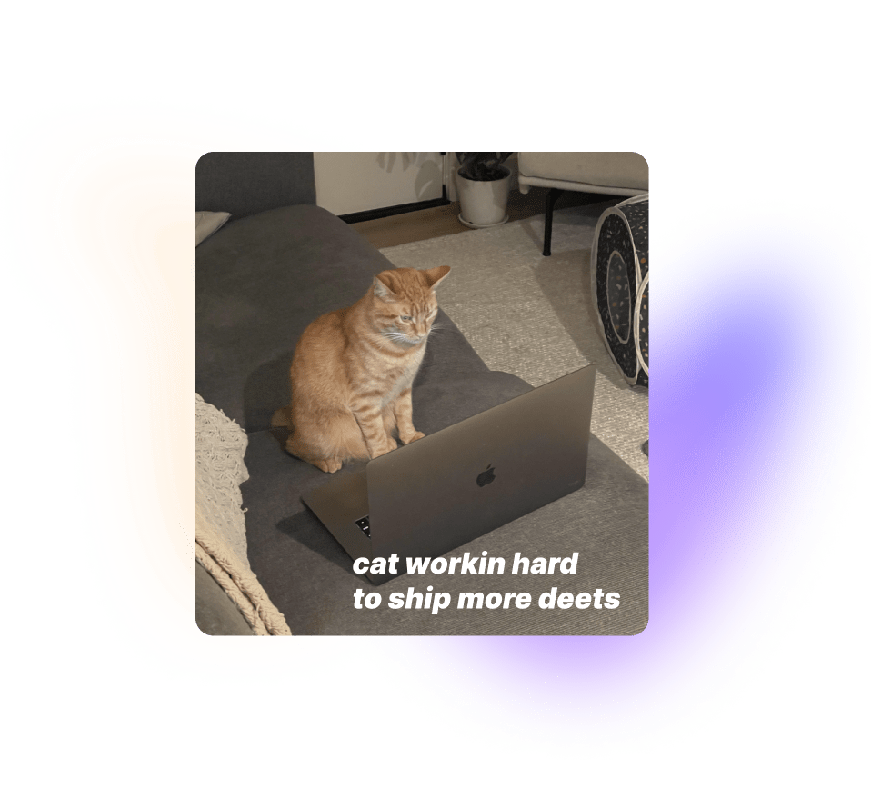 cat-working-hard-meme