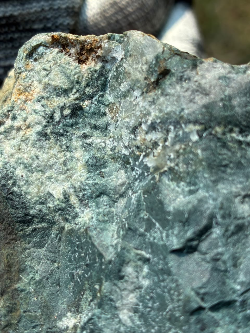 Little Fort Polymetallic Claim