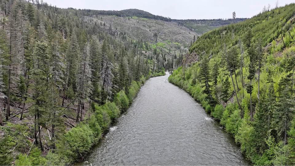 Placer Gravel Bars and Stream Channel