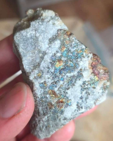 Selective Mineralized Specimen