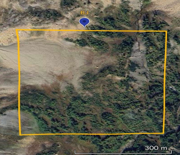 BJ Property - British Columbia