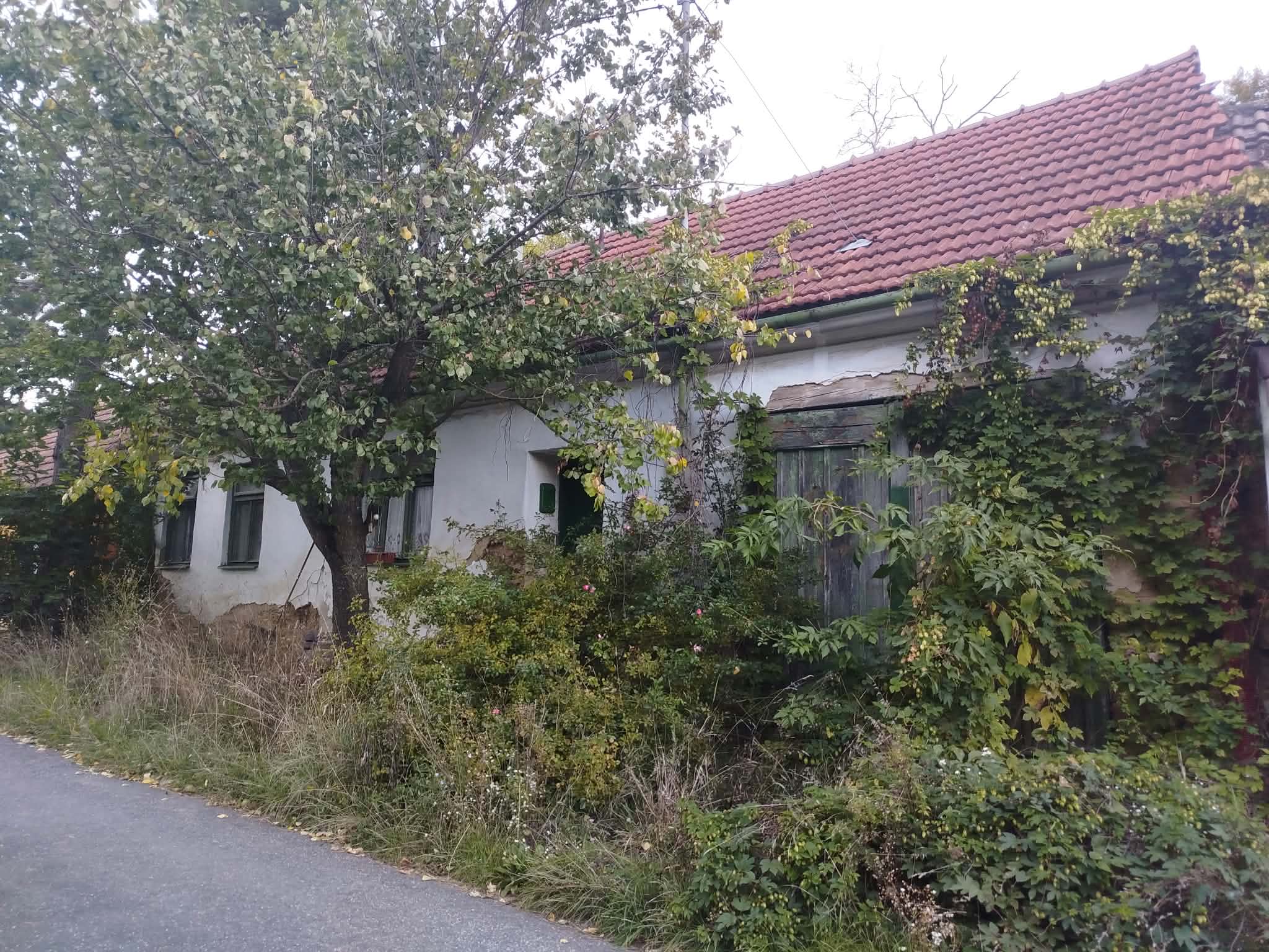 Rodinný dům, Žarošice, Zdravá voda