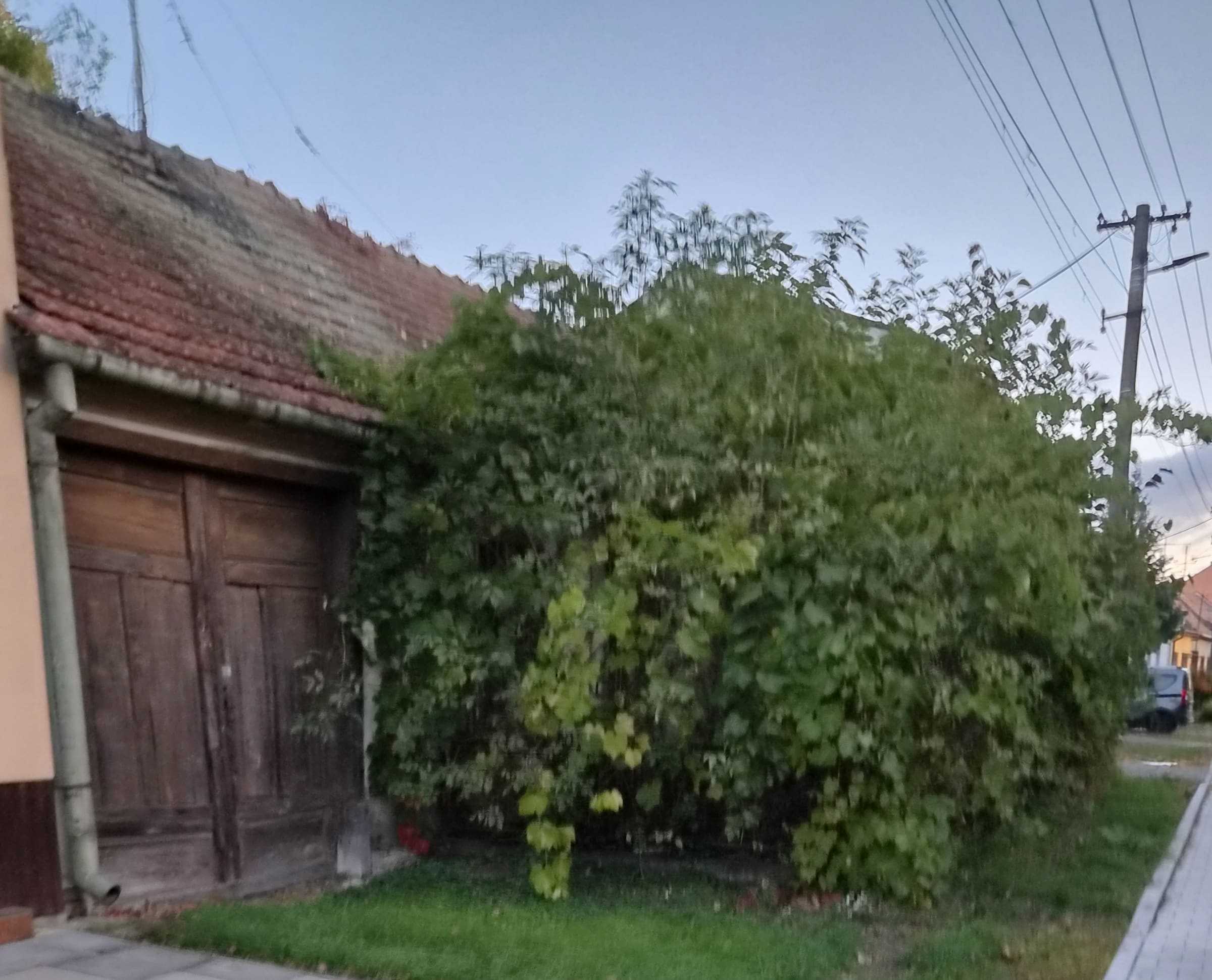 Rodinný dům, Šaratice__ST