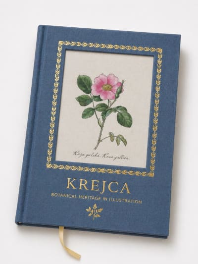 Kniha