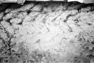Němčice nad Hanou, Chvátalova čp. 48, ohrada usedlosti; detail válkové konstrukce.