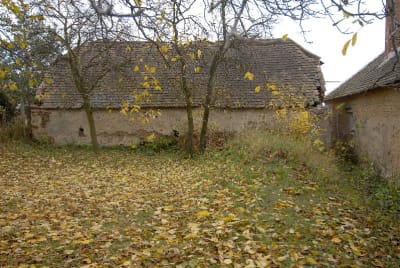 Popice, lisovna na pč. 10; pohled ze zahrady; v popředí zatravněná klenba sklepa.