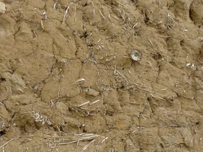 Uhřičice, dům usedlosti čp. 70, nakládaná stěna