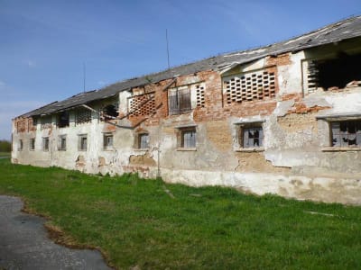 Velký Dvůr, Mariánský dvůr, chlévy s polopatrem seníku, přízemní stěny nabíjené nebo lité do bednění z hlinobetonu