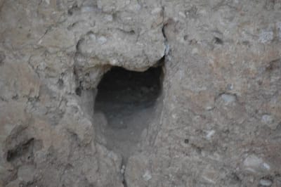Lidéřovice, západní humno, nabíjená stodola usedlosti čp. 26, detail otvoru po příčníku bednění