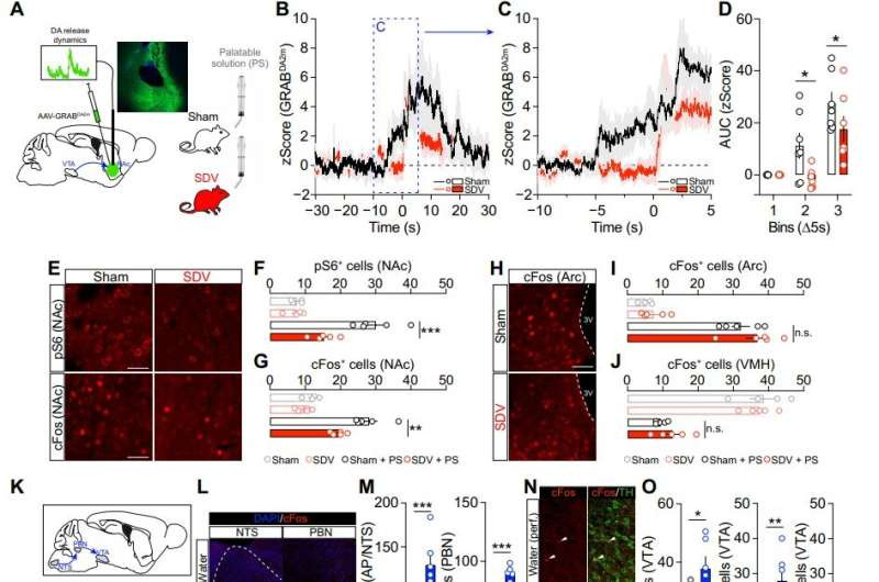Imagen del artículo