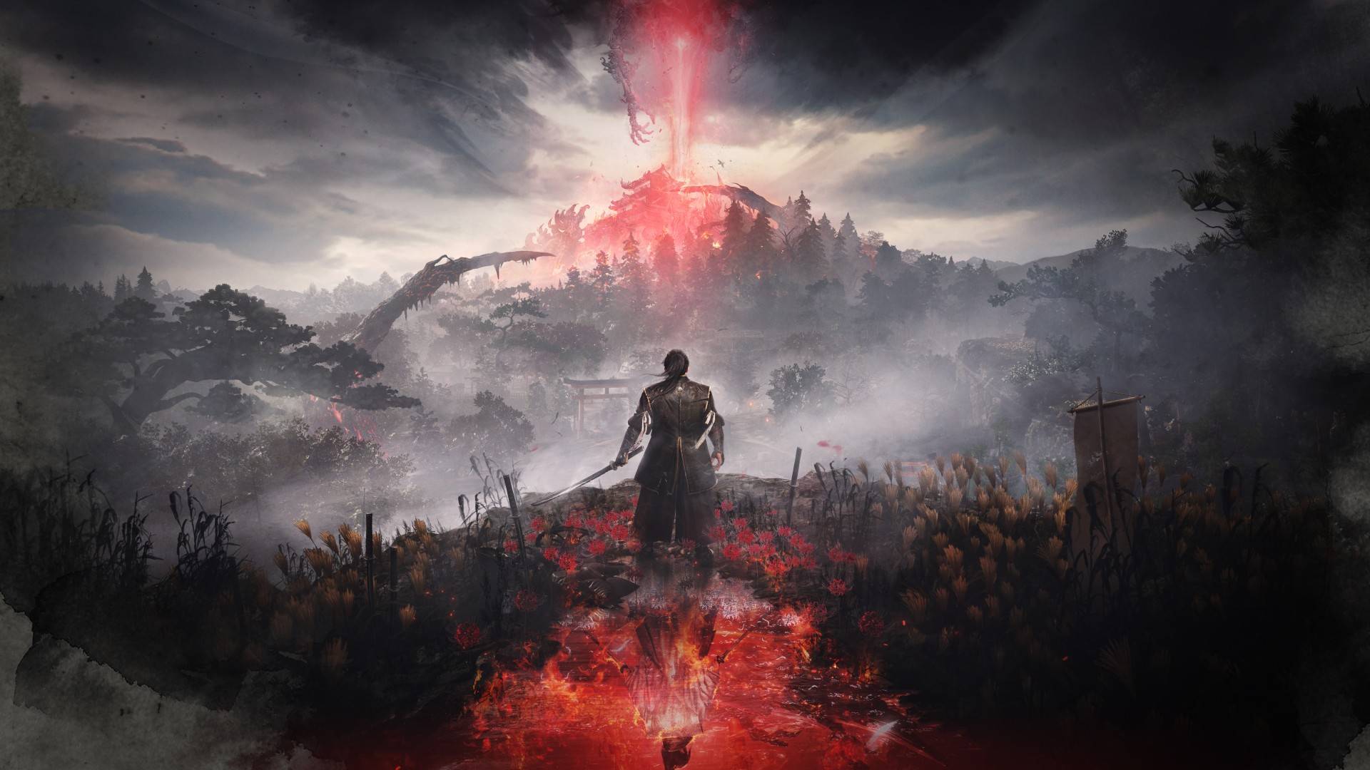 Imagen del artículo