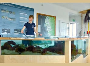 Aquarienführung mit Fütterung der Fische Aquarienführung mit Fütterung der Fische