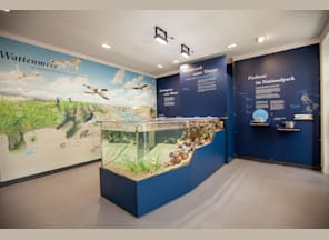 Aquarien-Führung: Wattbewohner hautnah erleben Aquarien-Führung: Wattbewohner hautnah erleben