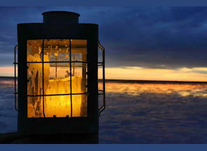 Führung: Wanderung in der Abendstimmung am Wattenmeer Führung: Wanderung in der Abendstimmung am Wattenmeer