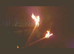 Fackelwanderung am Dieksee Fackelwanderung am Dieksee