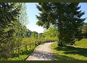 Wanderung "Kraftort Wald"