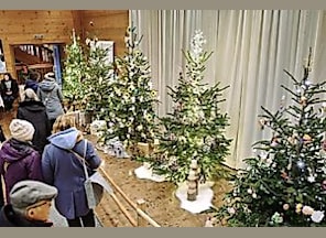 Christbaumausstellung - Erlebnis-Weihnachtsmarkt