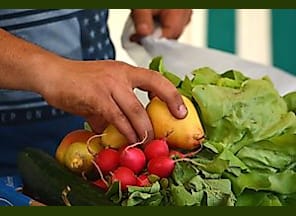 Bio- und Bauernmarkt Herbst