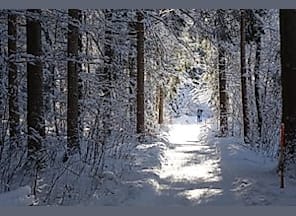 Wanderung rund um Fischen