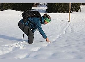 Spurensuche unter den Schwingen des Steinadlers - Winterwanderung- LBV