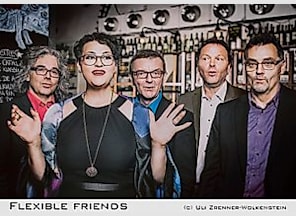 Steffi Denk & Flexible Friends