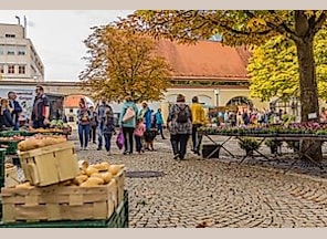 Günzburger Bauernmarkt