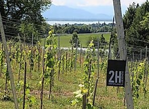Weinverkostung auf dem Weingut 2H