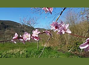 Naturerlebnis Wanderung