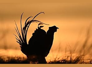 Deutschlands PARADIESE - Wildnis im Wandel