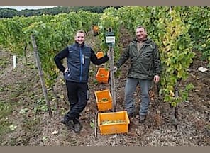 Weinverkostung im Weingut Göbenich