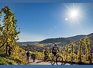 Geführte Panorama-E-Bike-Tour durch das Moseltal