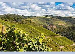 Weinprobe im Oberweseler Weinberg