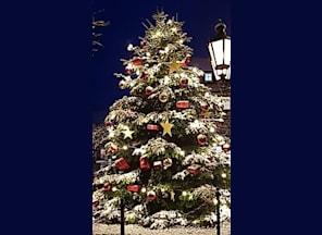 Weihnachtsmarkt | Weihnachtsbaumverkauf
