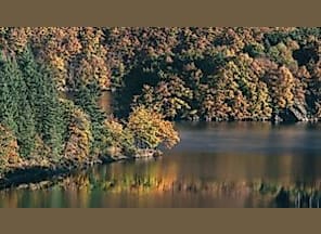 Wanderbare Stadt - Wanderung durch den herbstlichen Kermeter