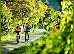 Fahrrad-Picknick-Schiff & Weintour