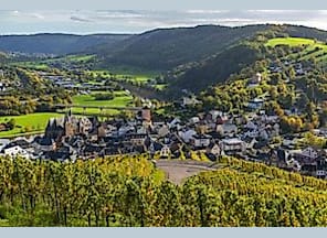 Pilze, Kräuter und Berren - Entdeckungsreise im Herbst